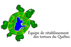 Equipe de retablissement des tortues du Quebec logo