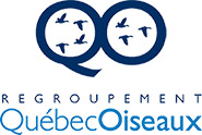 Regroupement Québec Oiseaux