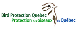 Bird Protection Quebec