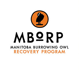 Manitoba Burrowing Owl Recovery Program