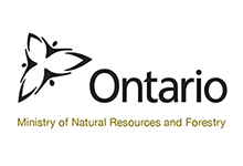Ontario Ministry of Natural Resources and Forestry Logo