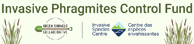 Invasive Phragmites Control Fund logo