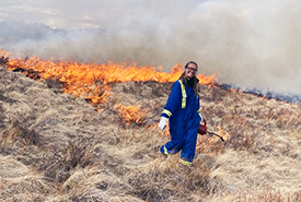 NCC's Hannah Schaepsmeyer helps light a prescribed fire (Photo by NCC)