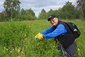 A NCC volunteer controls weeds at Golden Ranches (Photo by NCC)