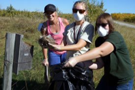Volunteers and NCC staff cleaning out a bluebird box along our adopted trail in Waterton (Photo by NCC)