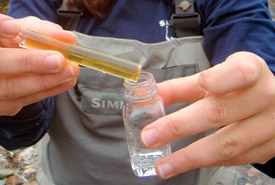 Water sampling at Darkwoods (Photo by NCC)