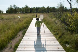 Jardin de prairie de La Fourche, Man. (Photo de Thomas Fricke)