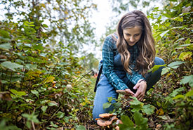 Volunteer using a smartphone at a NCC BioBlitz event. Photo by Brent Calver.