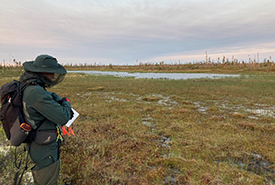 Justin Kreller performing a point count (bird survey) on Atik Island on the Winisk River, Ontario. (Photo courtesy of Justin Kreller)