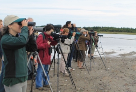 NCC birding workshop and survey in Miscou Island, NB (Photo by NCC)