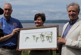 Doug Bliss, Atlantic regional director, Canadian Wildlife Service, Linda Stephenson, Atlantic regional vice president, NCC and Charles Duncan, director of WHSRN executive office unveil commemorative print of semipalmated sandpipers by artist Robert Lyon (Photo by NCC)
