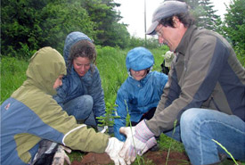 Tree planting Conservation Volunteers event, Johnson's Mills, NB (Photo by NCC)