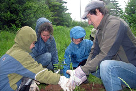 Plantation d'arbres, activité Bénévoles pour la conservation, Johnson's Mills, N.-B. (Photo de CNC)