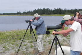 Bird watching Conservation Volunteers event, Brier Island, Nova Scotia (Photo by NCC)