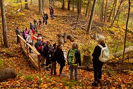 Hike in Happy Valley Forest, ON (Photo by NCC)