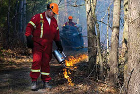 Fire crew members overseeing burn, Rice Lake Plains, ON (Photo by Chelsea Marcantonio/NCC staff)