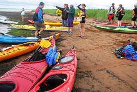 Conservation Volunteer event, Boughton Island, Prince Edward Island (Photo by NCC)