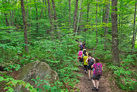 Alfred-Kelly Nature Reserve, Laurentians (Photo by Mark Tomalty)