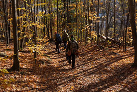 Hikers at Alfred-Kelly Nature Reserve, QC (Photo by Guillaume Simoneau)