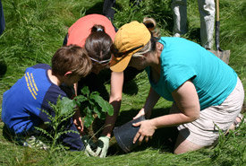 NCC staff in action, Quebec (Photo by NCC)