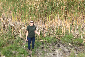 Carissa Sideroff working in the field. (Photo by NCC) 