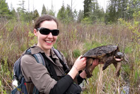 NCC's Jen McCarter with an adult snapping turtle (Photo by NCC)