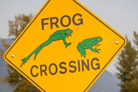 Frog crossing sign (Photo by Pat Morrow)