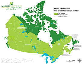 Canadian distribution of tree swallow (Map by NCC)