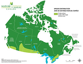 Canadian distribution of turkey vulture (Map by NCC)