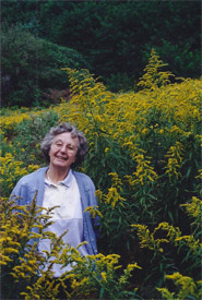 In wet seasons the common goldenrod may grow to be seven and eight feet tall. (Photo by Dr. Henry Barnett)